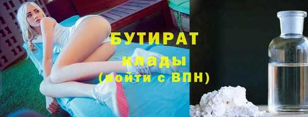 индика Алзамай