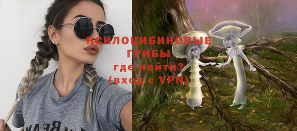 индика Алзамай