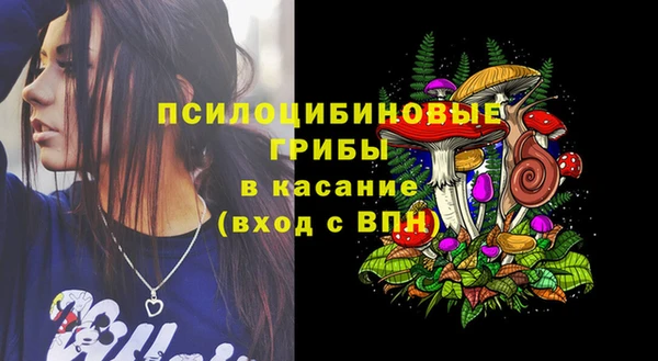 СК Алексеевка