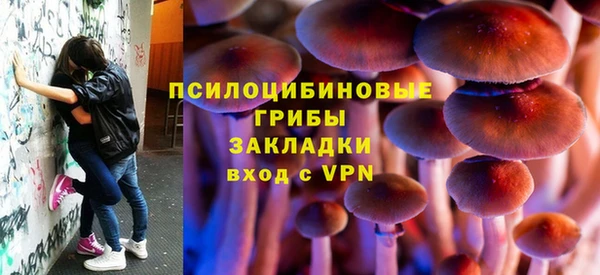 индика Алзамай